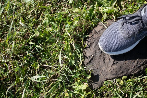 Piede Scarpe Ginnastica Entra Sterco Vacca — Foto Stock