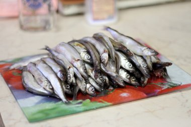 Fresh fish capelin clipart