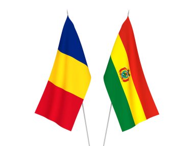 Romanya ve Bolivya bayrakları