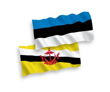 Beyaz arka planda Estonya ve Brunei 'nin ulusal taşıyıcı kumaş bayrakları izole edildi. 1 'e 2 oranında.