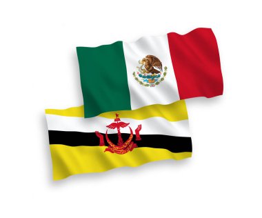 Meksika ve Brunei 'nin ulusal taşıyıcı kumaş bayrakları beyaz arka planda izole edildi. 1 'e 2 oranında.