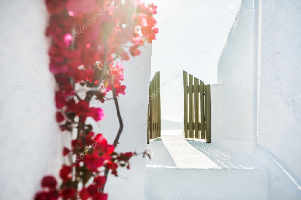 White architecture on Santorini island, Greece. 