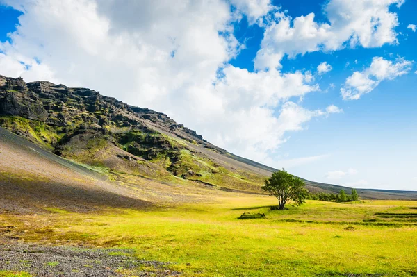 Icelandic landscape with mountains and tree. — 스톡 사진