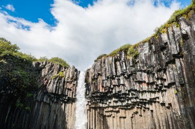 Svartifoss şelale bazalt sütunlarla. 