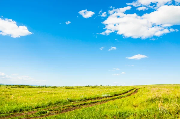 Field with green grass and the blue sky with clouds. — Stock Photo, Image