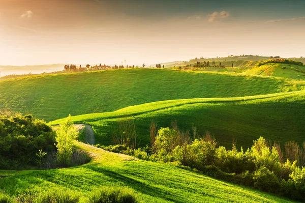 Colinas verdes de Toscana, Italia . — Foto de Stock