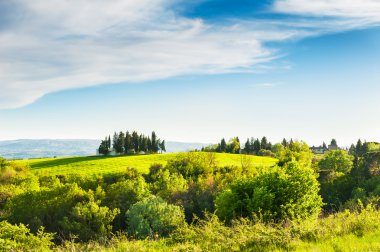 yeşil tepeler Toskana, İtalya. 