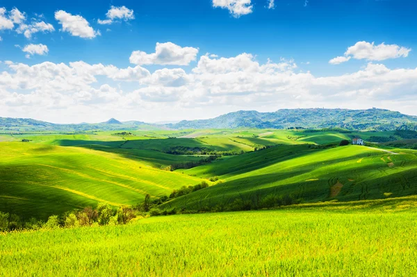 Zielone wzgórza w Toskanii, Włochy. — Zdjęcie stockowe