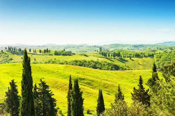 Gröna kullarna i Toscana, Italien. — Stockfoto