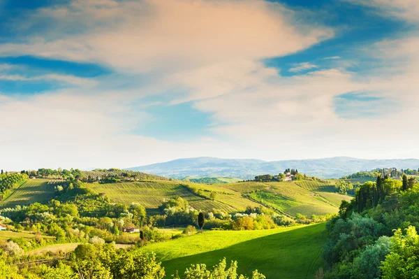 Zelených kopcích v Toskánsku, Itálie — Stock fotografie