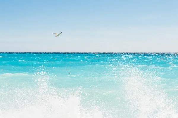 Красиве море з бірюзовою водою — стокове фото