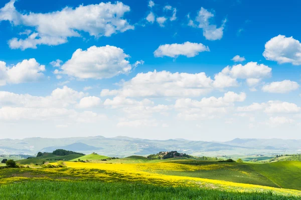 Campos verdes y cielo azul. Toscana, Italia — Foto de Stock