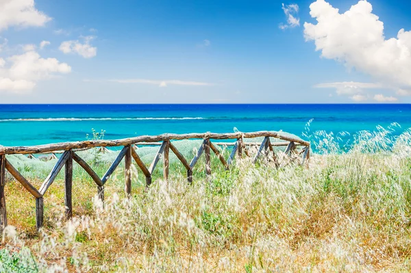 Beautiful sea coast with wild grasses and fence. — Stock Photo, Image