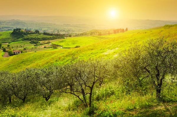 Piękny krajobraz Tuscany, Prowincja Certaldo, Włochy — Zdjęcie stockowe