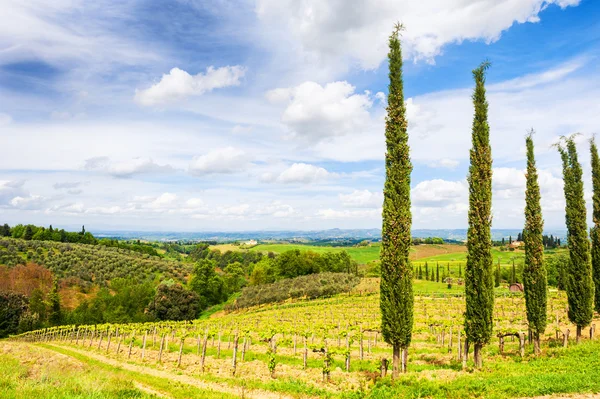 Toskana landschaft, san gimignano, italien — Stockfoto