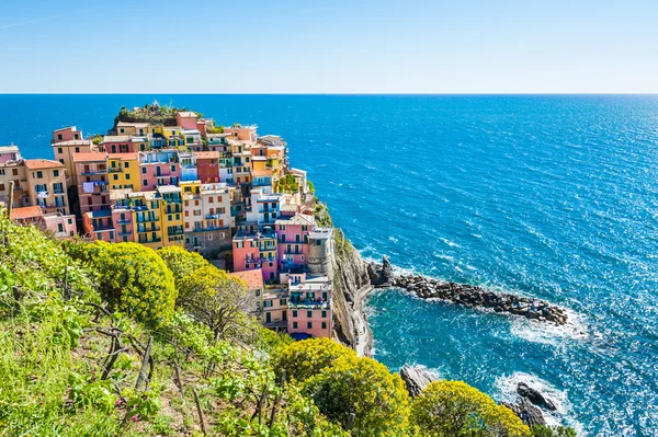 Πόλη Μαναρόλα, Εθνικού Πάρκου Cinque Terre, Ιταλία — Φωτογραφία Αρχείου
