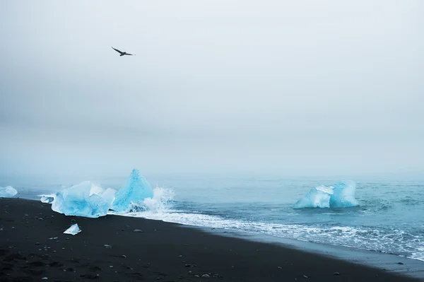 Kusten av Atlanten, södra Island — Stockfoto
