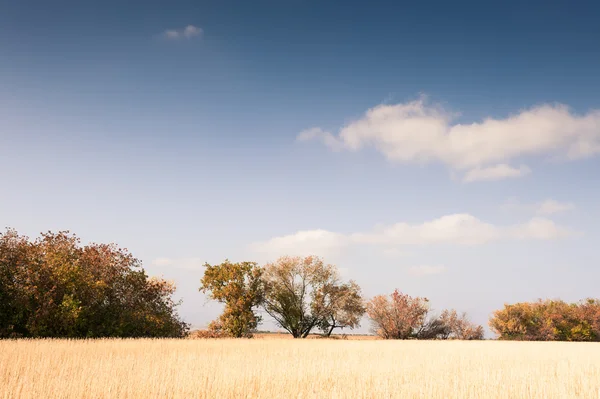 Beautiful autumn landscape — Stock Photo, Image