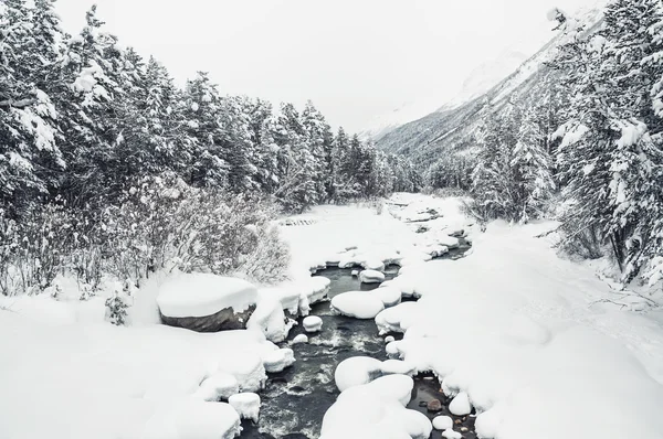 Nevicate sul fiume — Foto Stock