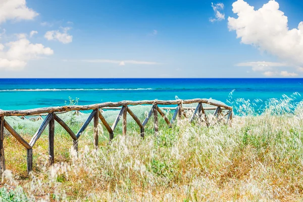 Beautiful sea coast with wild grasses and fence. — Stock Photo, Image