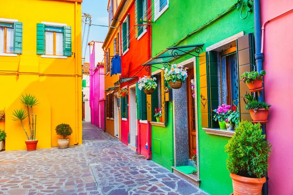 Burano Adası Venedik Talya Renkli Bir Mimari Çiçeklerle Dolu Rahat — Stok fotoğraf