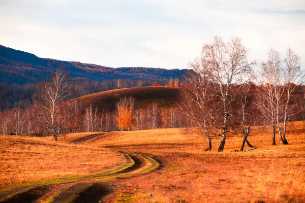 Road Autumn Forest Sunset Beautiful Autumn Landscape South Ural Russia — Stock Photo, Image