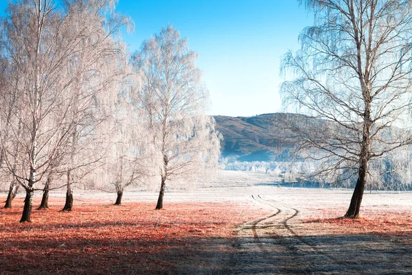 Árboles Helados Bosque Otoño Amanecer Hermoso Paisaje Invierno Ural Sur —  Fotos de Stock