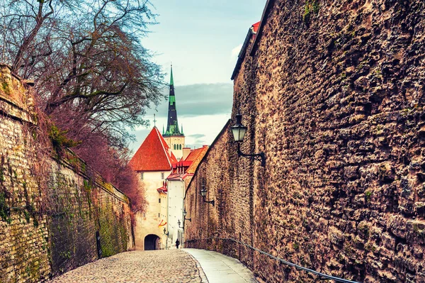 Antigua Arquitectura Casco Antiguo Tallin Estonia Paisaje Urbano Invernal Famoso — Foto de Stock