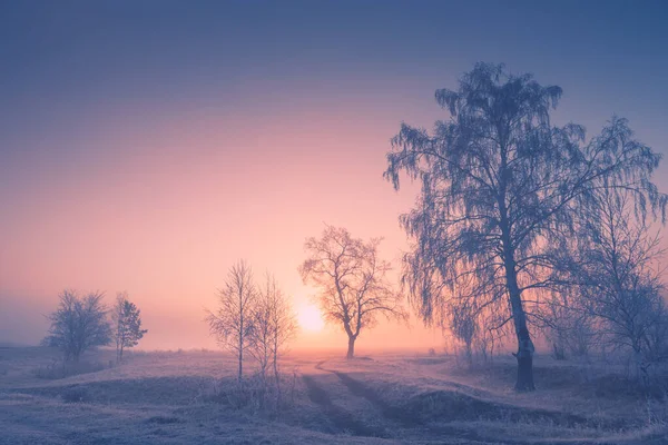 Misty sunrise in the winter forest. Trees with hoarfrost in foggy morning. Beautiful winter landscape. South Ural, Russia