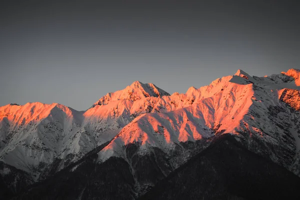 冬の山の中で美しい夕日 夕方の日差しの中で紫色の雪に覆われたピーク コーカサス山脈 クラスナヤ ポリアナ ロシア — ストック写真