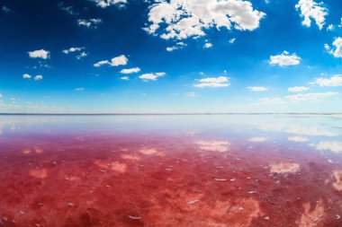 Pembe tuzlu tuzlu tuz gölü ve bulutlu mavi gökyüzü. Kırım 'daki Sasyk-Sivash pembe tuz gölü. Yaz manzarası