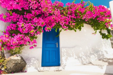 Santorini Adası, Yunanistan 'da beyaz mimari. Ön cephede mavi kapı ve pembe çiçekler