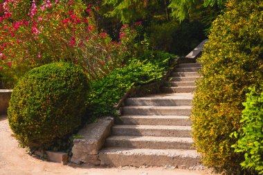 Bahçedeki yeşil ağaçlar ve çiçekler arasındaki taş merdivenler. Güzel yaz doğa geçmişi.
