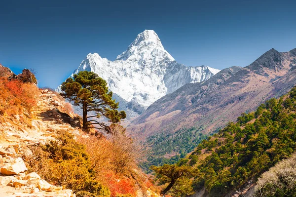 Vista Del Pico Ama Dablam Las Montañas Del Himalaya Nepal Fotos de stock libres de derechos