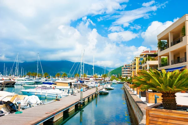 Yachter Hamnen Tivat Montenegro Kotorbukten Adriatiska Havet Berömda Resmål Vackert — Stockfoto