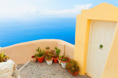 Santorini Adası, Yunanistan. Terasta deniz manzaralı çiçekler. Seyahat hedefleri kavramı