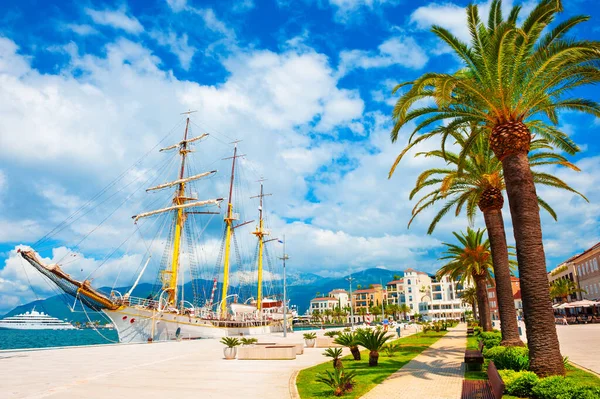 Hermoso Paseo Marítimo Con Palmeras Puerto Marítimo Tivat Montenegro Bahía — Foto de Stock