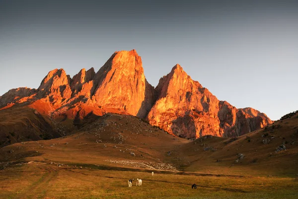 Εθνικό Πάρκο Erzi Στην Ινγκουσετία Καύκασος Ρωσία Cei Loam Mount — Φωτογραφία Αρχείου