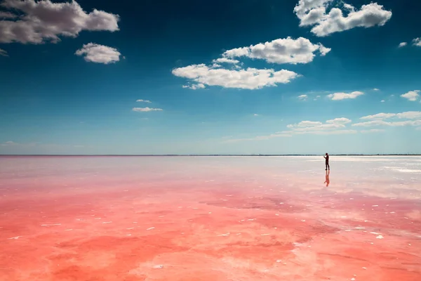 Соленое Озеро Розовой Солью Голубое Небо Облаками Сасык Сиваш Розовое — стоковое фото