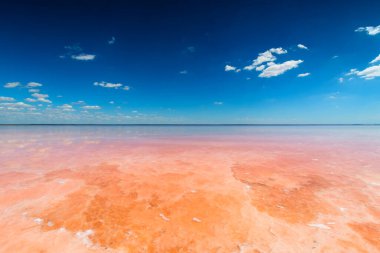 Pembe tuzlu tuzlu tuz gölü ve bulutlu mavi gökyüzü. Kırım 'daki Sasyk-Sivash pembe tuz gölü. Yaz manzarası