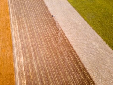 Sarı buğday tarlasında tarım hasadı. Renkli alanların hava aracı görüntüsü. Yaz mevsiminde buğday hasadı.