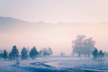 Sabahın köründe kış dağları, gün doğumunda sis. Kırsal yolda buzlu ağaçlar ve çimenler. Güzel kış manzarası.