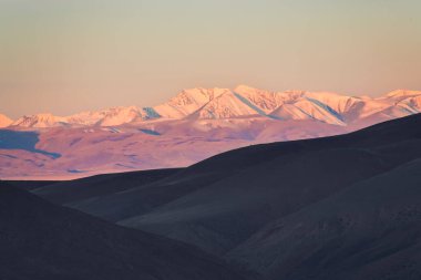 Gün doğumunda karla kaplı dağ zirveleri. Kurai bozkırının sonbahar manzarası Altai, Sibirya, Rusya.
