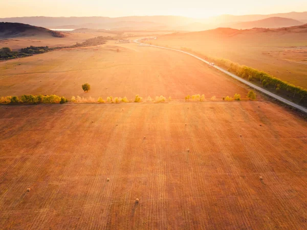 Zemědělská Pole Žluté Sklizené Pšenice Letecký Výhled Krásná Letní Krajina — Stock fotografie