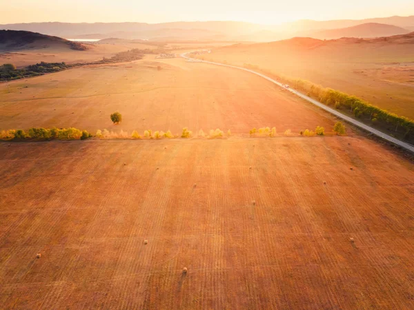 Tarım tarlaları sarı buğday hasadı. Hava aracı görüntüsü. Güzel yaz manzarası. Güney Ural, Rusya