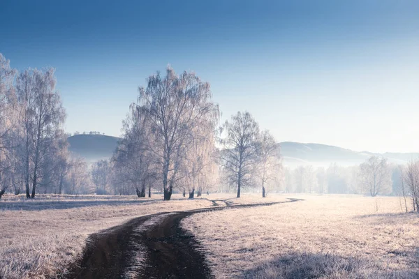 Árboles Helados Camino Bosque Invierno Mañana Brumosa Hermoso Paisaje Invierno —  Fotos de Stock