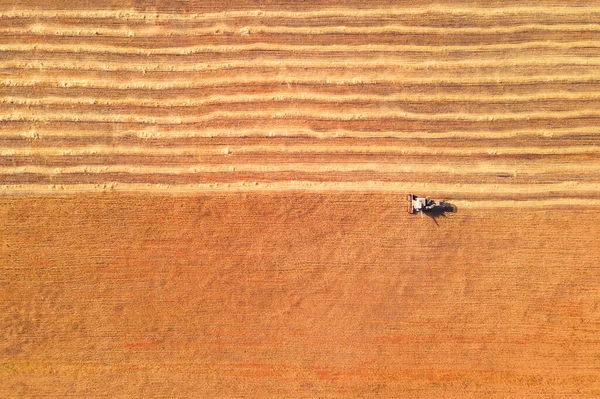 Сільськогосподарський Комбайн Жовтому Полі Пшениці Вид Зверху Вниз Різнокольорові Поля — стокове фото