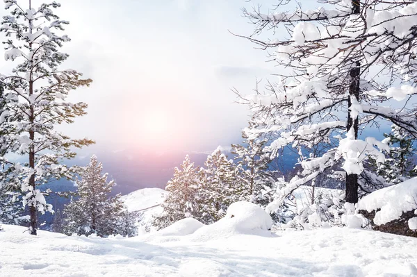 Bellissimo paesaggio invernale — Foto Stock