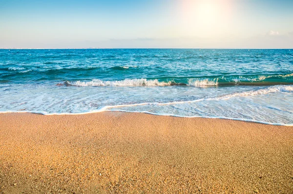 Tropical beach — Stock Photo, Image