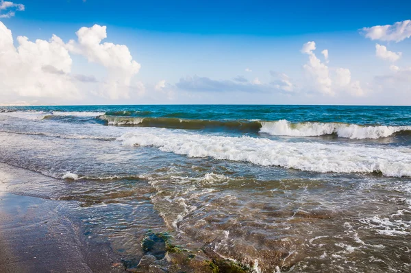 Tropikalna plaża — Zdjęcie stockowe